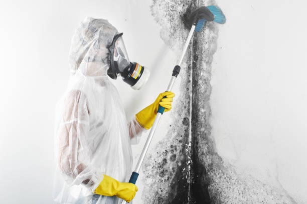 Best Real Estate Mold Inspection  in Marysville, WA