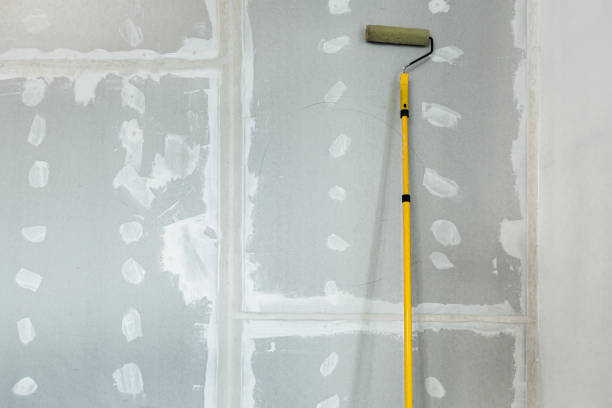 Best Comprehensive Air Testing for Mold Contaminants  in Marysville, WA