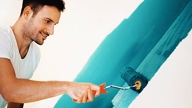 Best Mold Removal for HVAC Installations  in Marysville, WA
